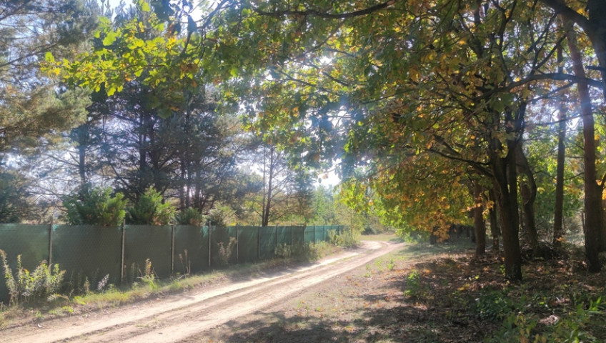 Działka Sprzedaż Marianów aleja Kalinowa